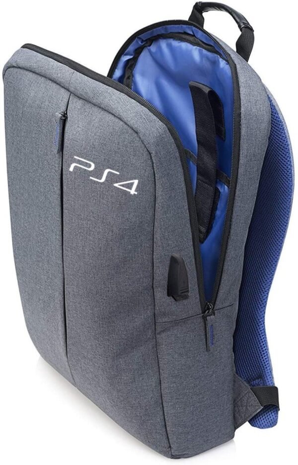 PS4 BAG